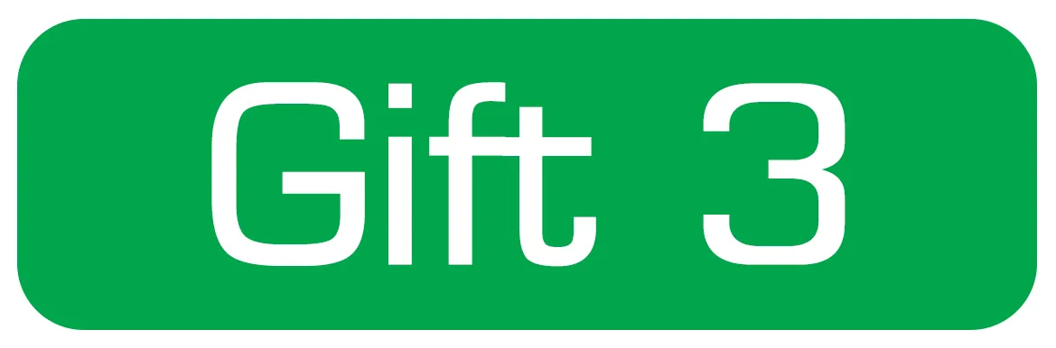 gift3